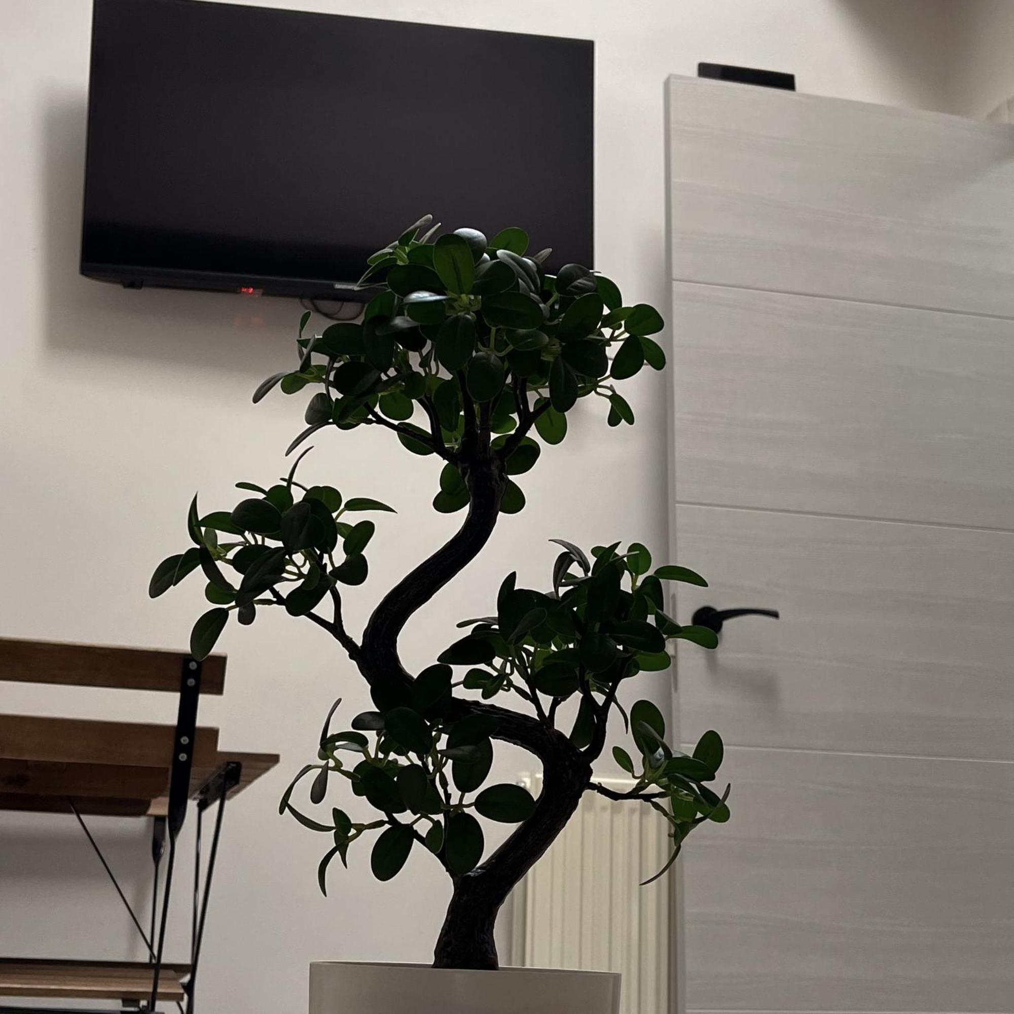 Apartamento Calera บูร์โกส ภายนอก รูปภาพ